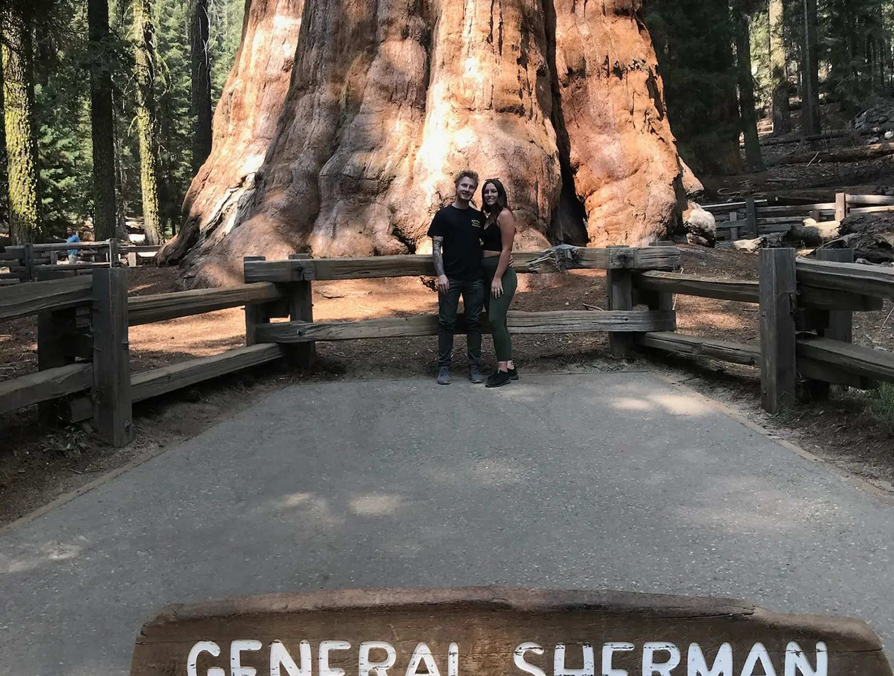 General Sherman Sequoia Tree